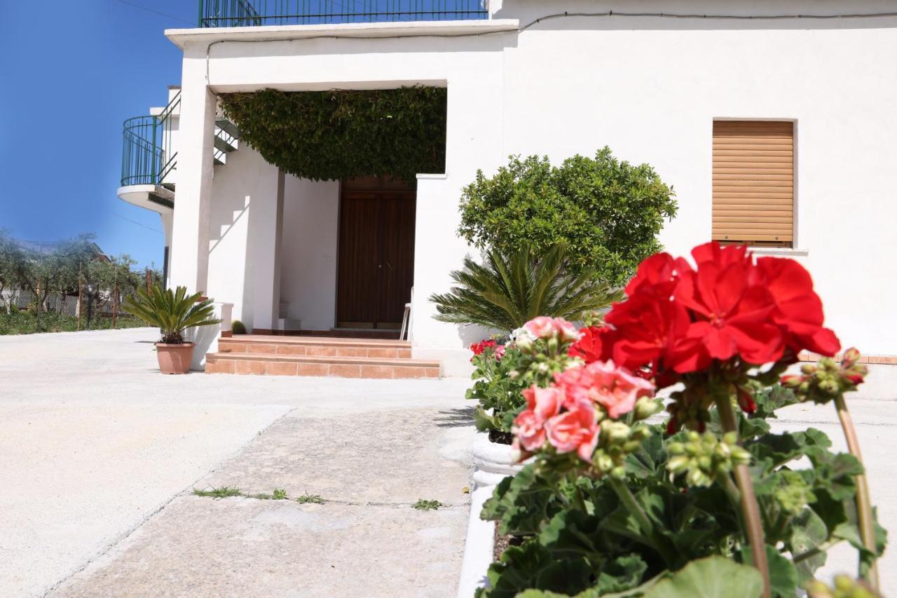 B&B Vannefora San Nicola Arcella Bagian luar foto