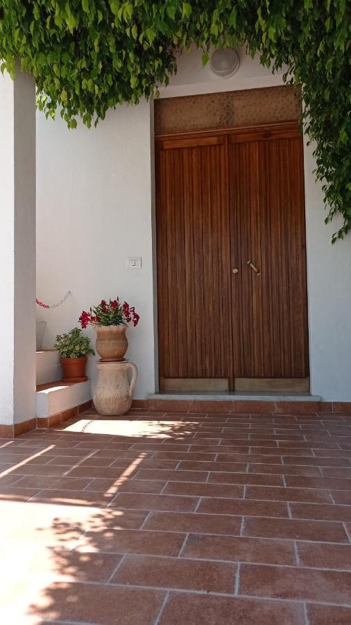 B&B Vannefora San Nicola Arcella Bagian luar foto