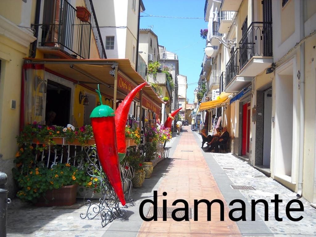 B&B Vannefora San Nicola Arcella Bagian luar foto