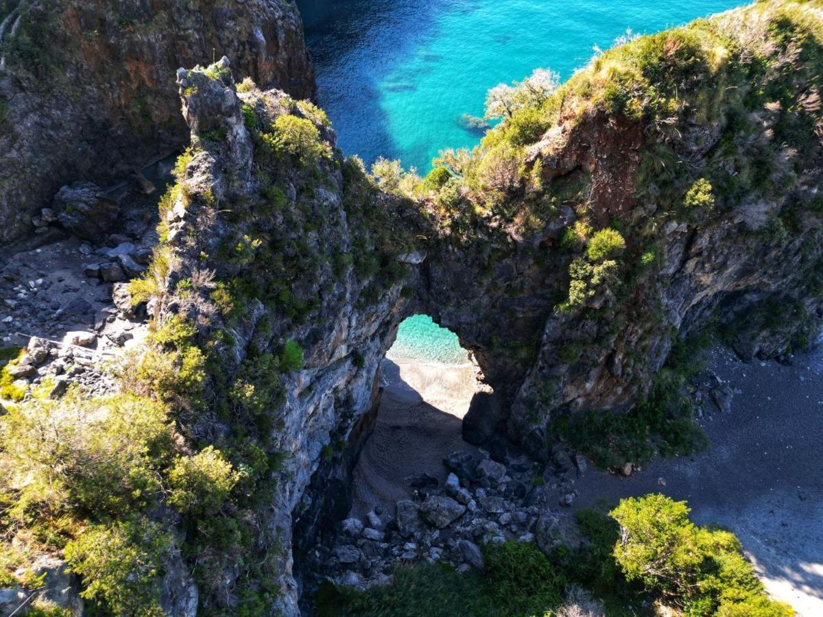 B&B Vannefora San Nicola Arcella Bagian luar foto