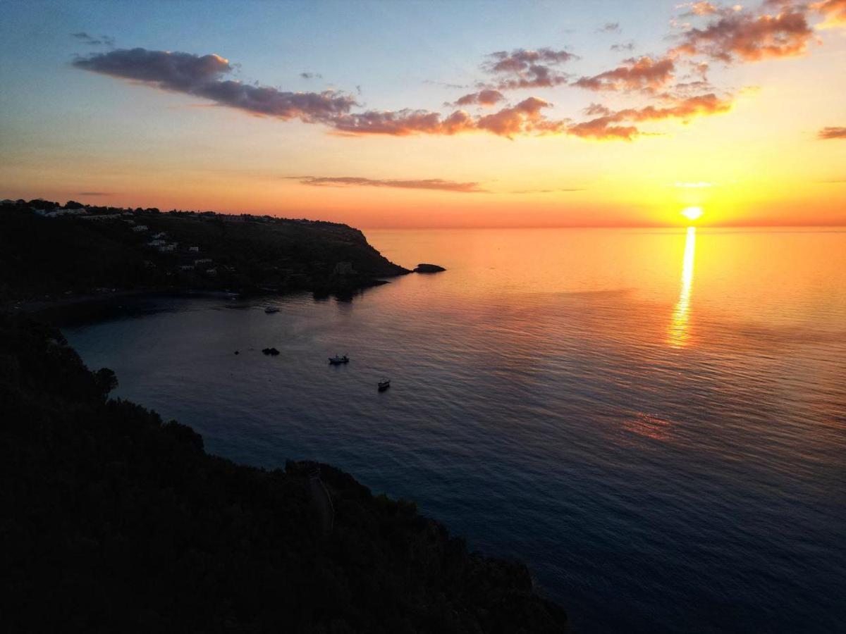 B&B Vannefora San Nicola Arcella Bagian luar foto